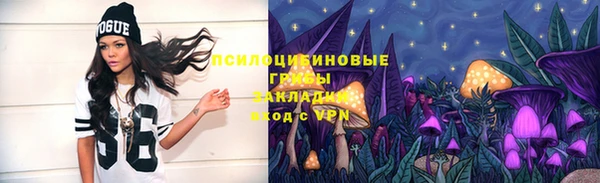 бошки Лихославль