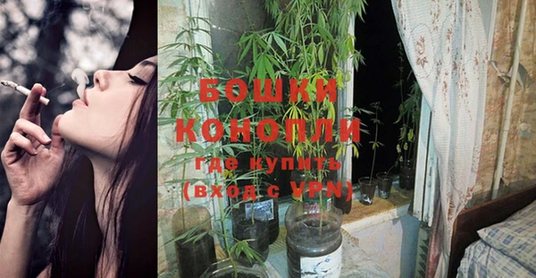 дурь Липки