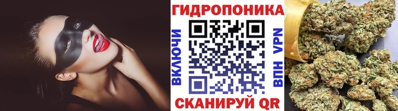 ссылка на мегу   Медынь  Бошки Шишки Amnesia  что такое  